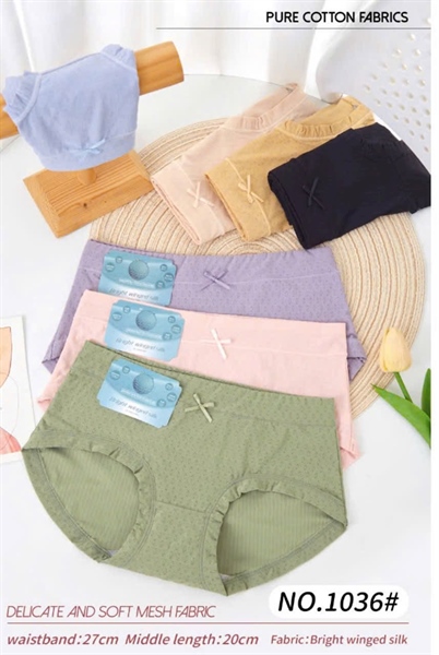 1036 – Thông hơi (K18)