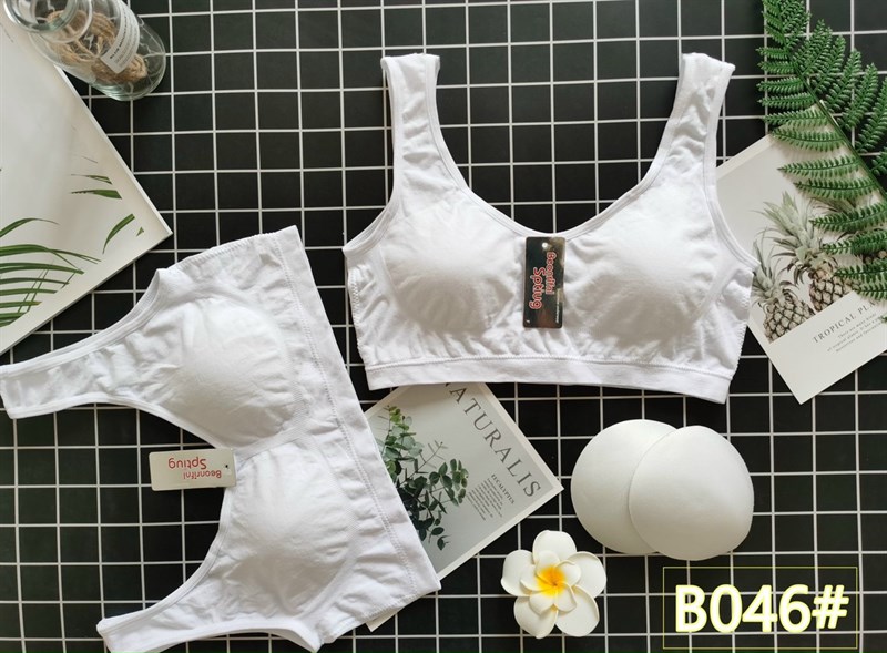 B046 -ÁO LÁ HỌC SINH (2H)